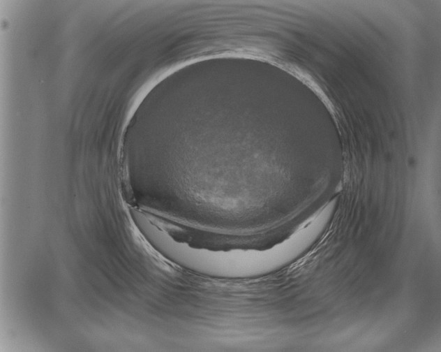 X0000087631532200705181448