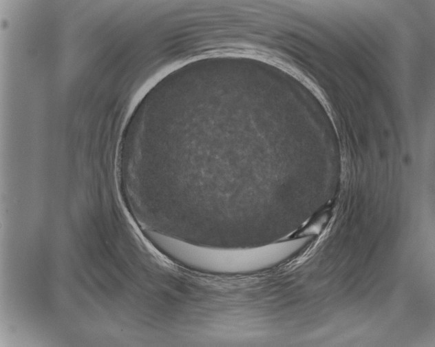 X0000087631533200705181448