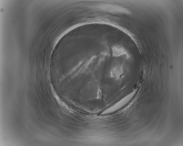 X0000087631534200705181448