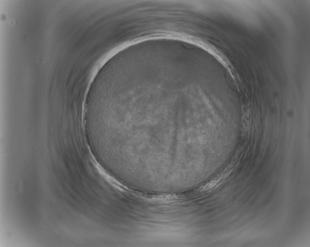 X0000087631535200705181448