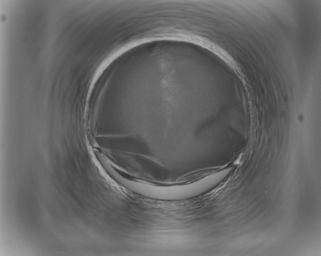 X0000087631536200705181448