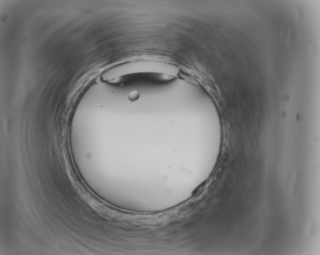 X0000087630001200705241226