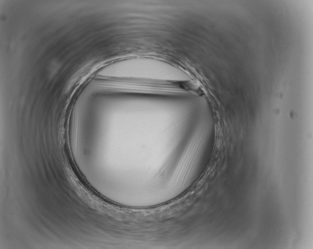 X0000087630002200705241226