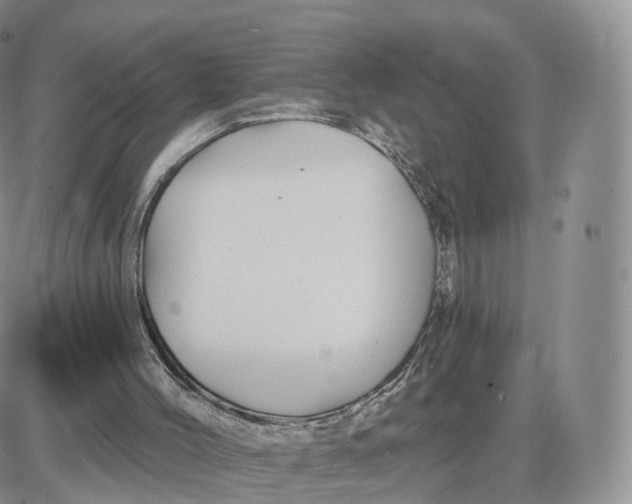 X0000087630004200705241226