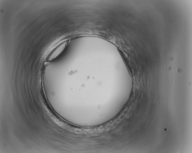 X0000087630005200705241226