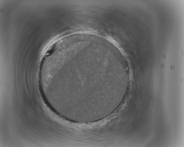 X0000087630007200705241226