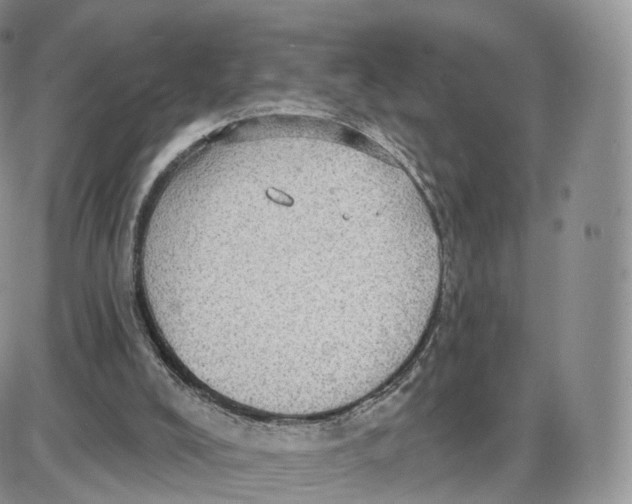 X0000087630008200705241226