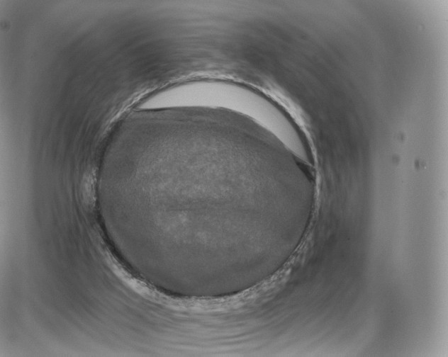 X0000087630009200705241226