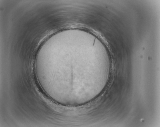 X0000087630010200705241226