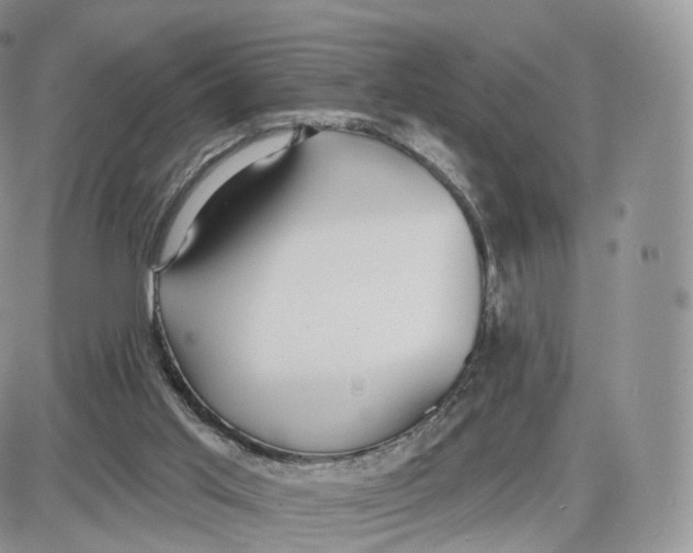 X0000087630013200705241226