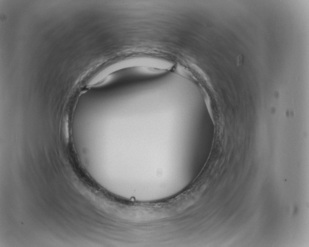 X0000087630020200705241226