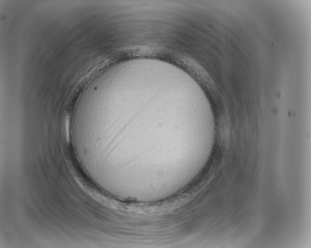 X0000087630022200705241226