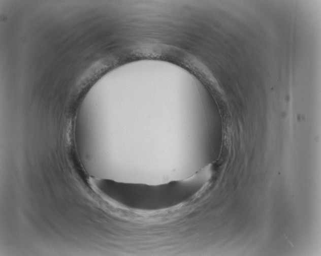 X0000087630023200705241226