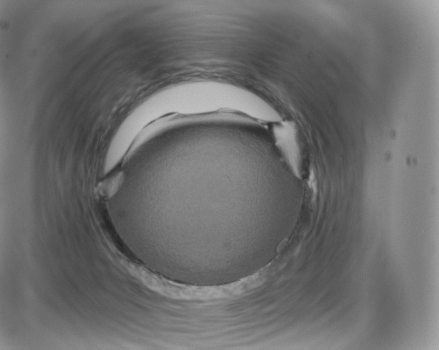 X0000087630031200705241226