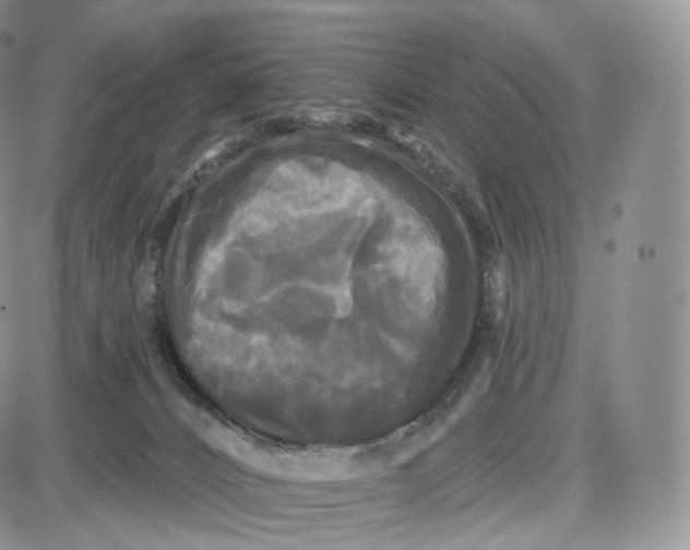 X0000087630032200705241226