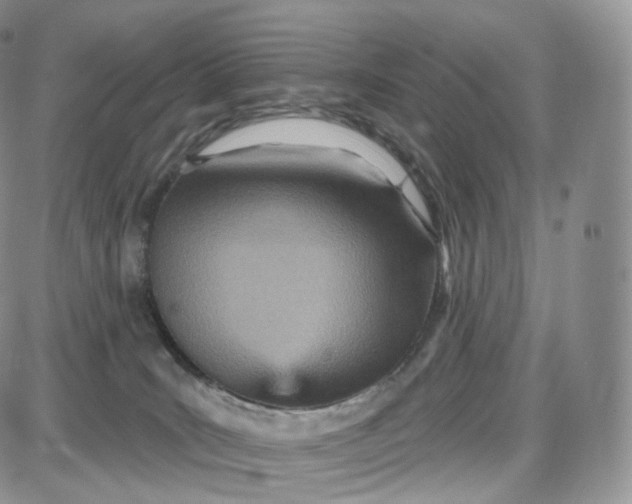 X0000087630035200705241226