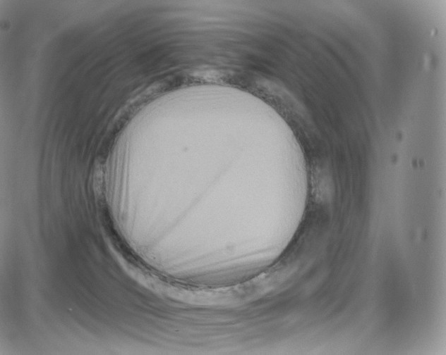 X0000087630036200705241226