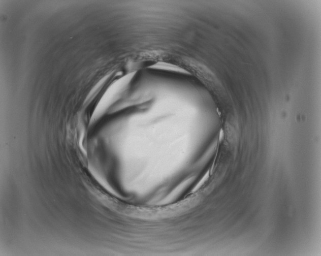 X0000087630037200705241226