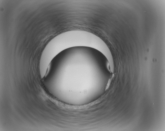 X0000087630043200705241226