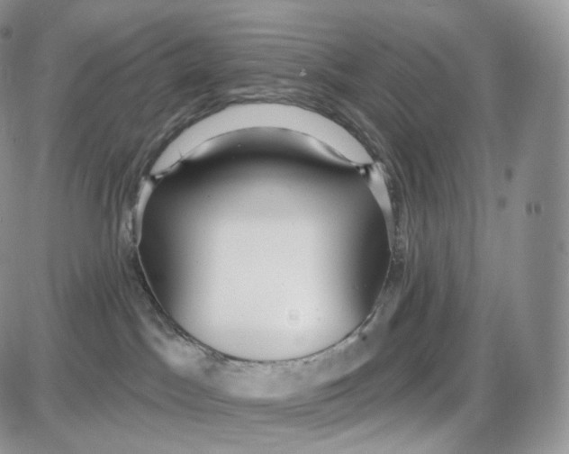 X0000087630045200705241226