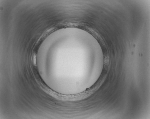 X0000087630046200705241226