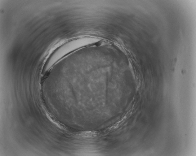 X0000087630050200705241225