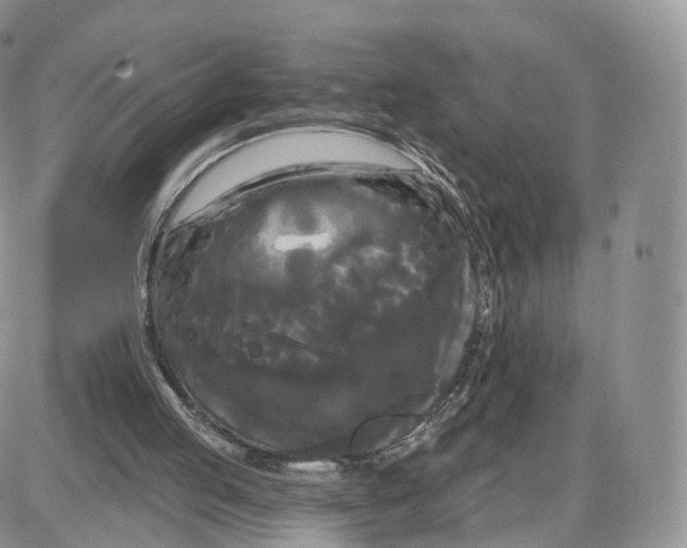 X0000087630053200705241225