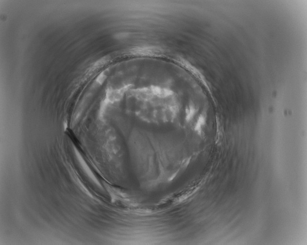 X0000087630061200705241225