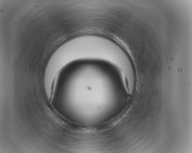 X0000087630065200705241225