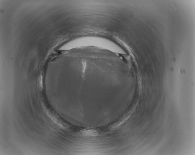 X0000087630067200705241225