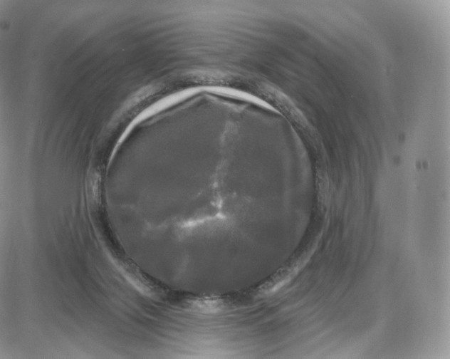 X0000087630071200705241225