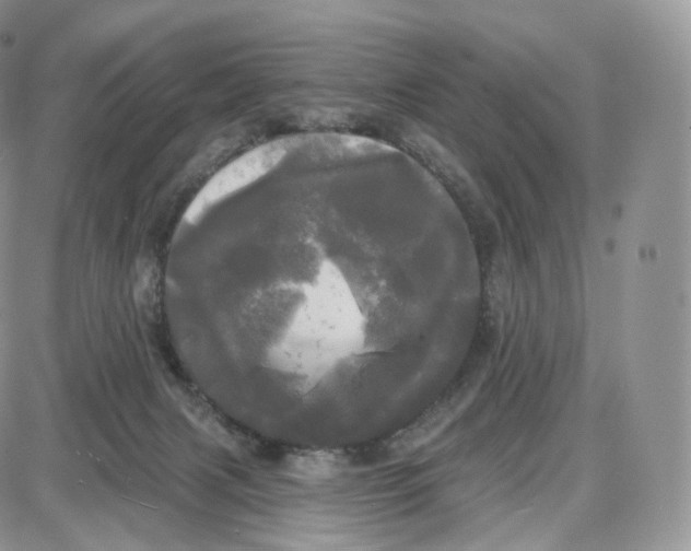 X0000087630079200705241225