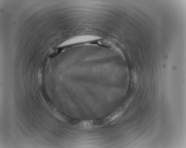 X0000087630080200705241225