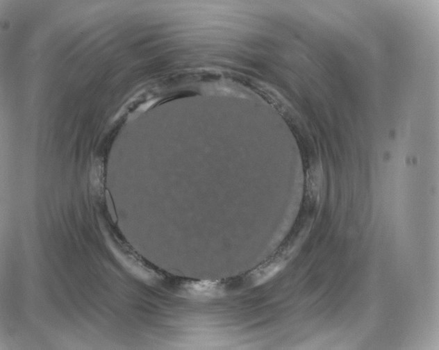 X0000087630092200705241225