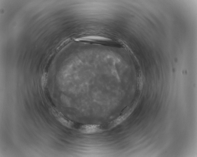 X0000087630093200705241225