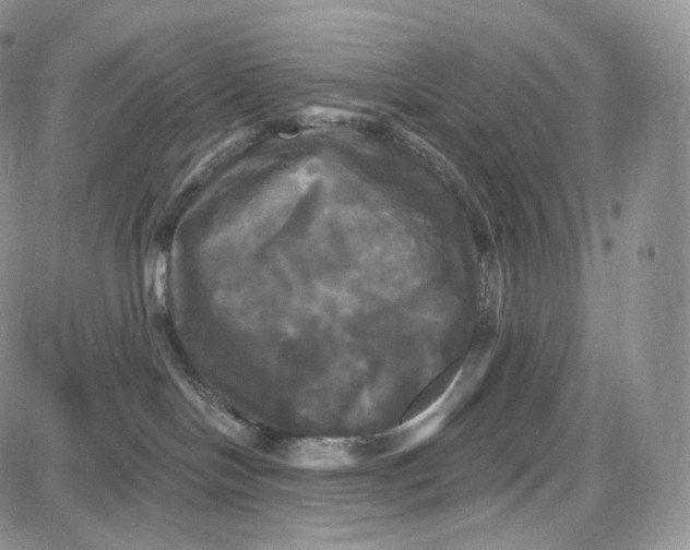 X0000087630094200705241226