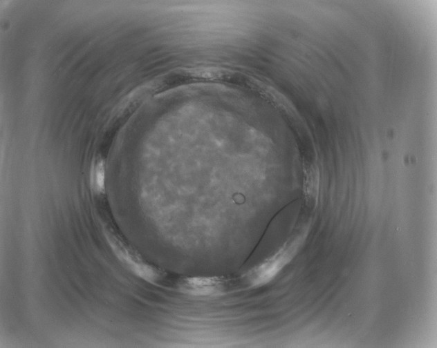 X0000087630095200705241226