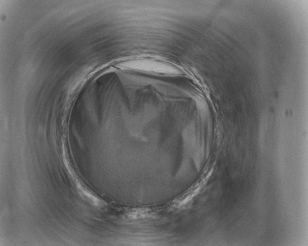 X0000087630097200705241225