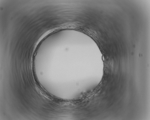 X0000087630100200705241225