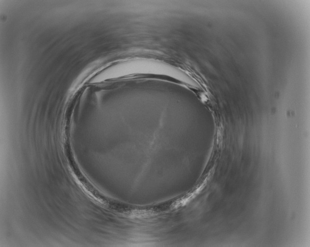 X0000087630101200705241225