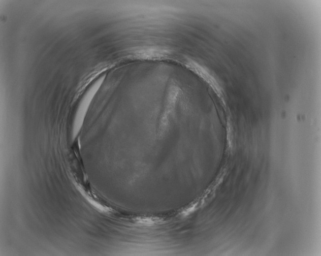 X0000087630105200705241225