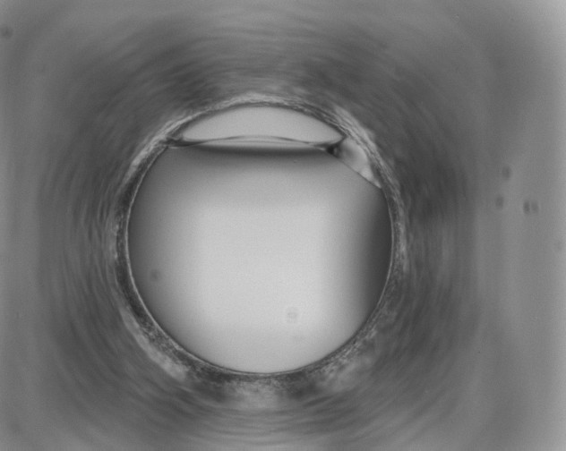 X0000087630106200705241225