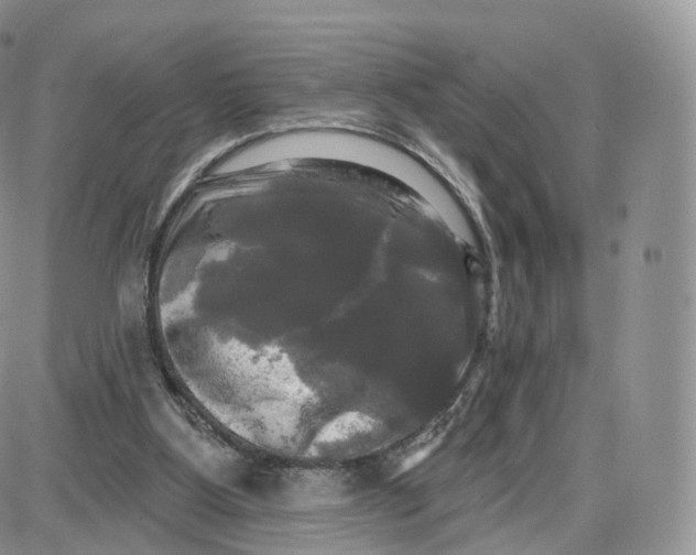 X0000087630107200705241225