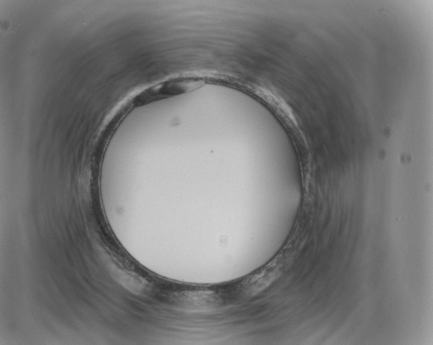 X0000087630108200705241225