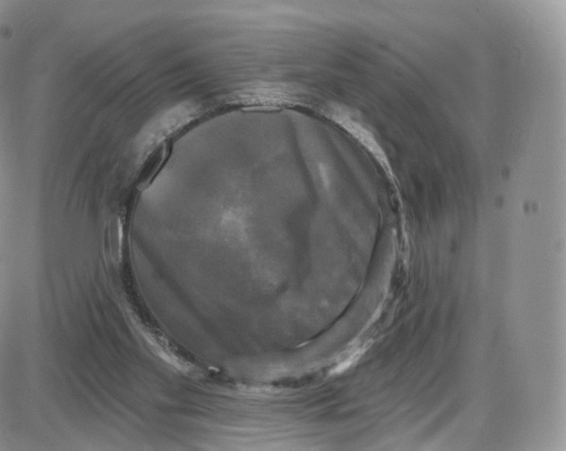 X0000087630109200705241225