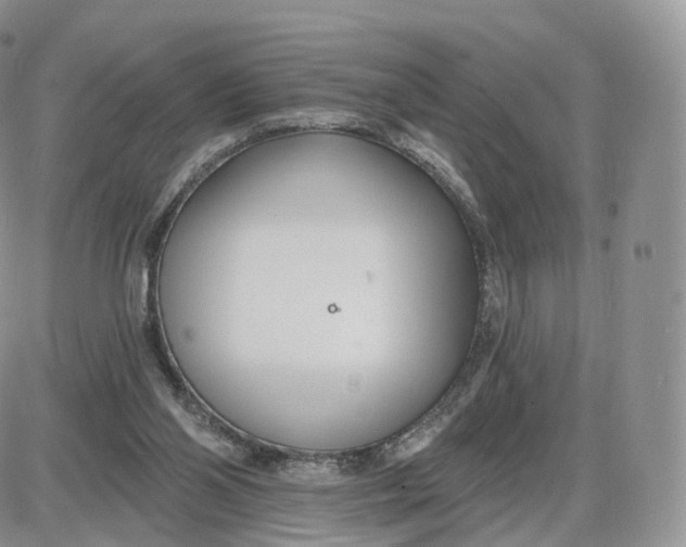 X0000087630110200705241225