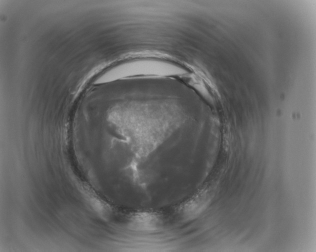 X0000087630111200705241225