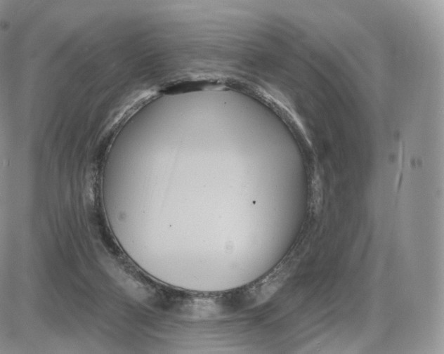 X0000087630114200705241224