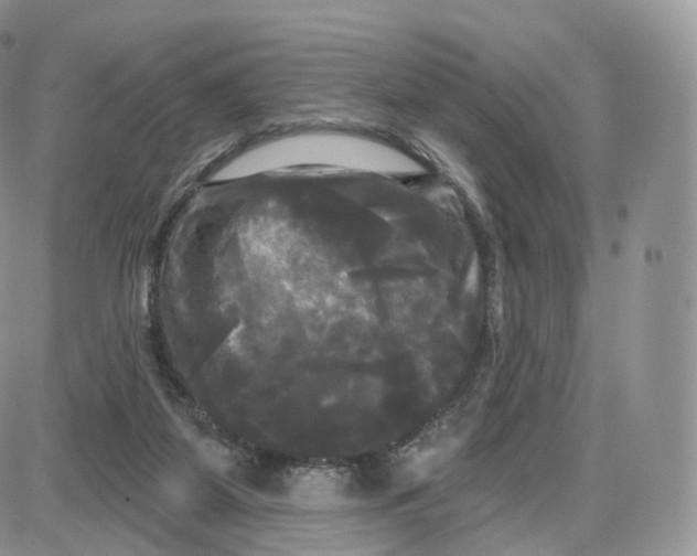 X0000087630115200705241224