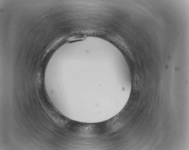 X0000087630116200705241224